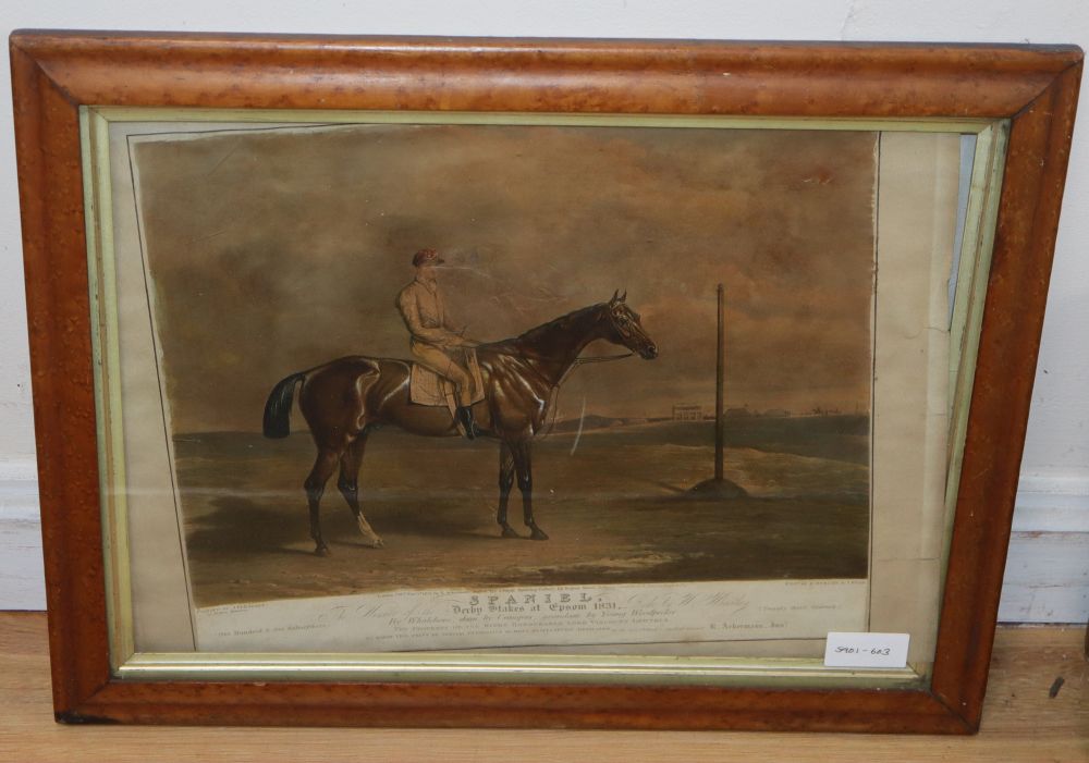 After J. Ferneley, coloured aquatint, The Racehorse Spaniel, Derby Stakes at Epsom 1831, overall 36 x 41cm, maple framed